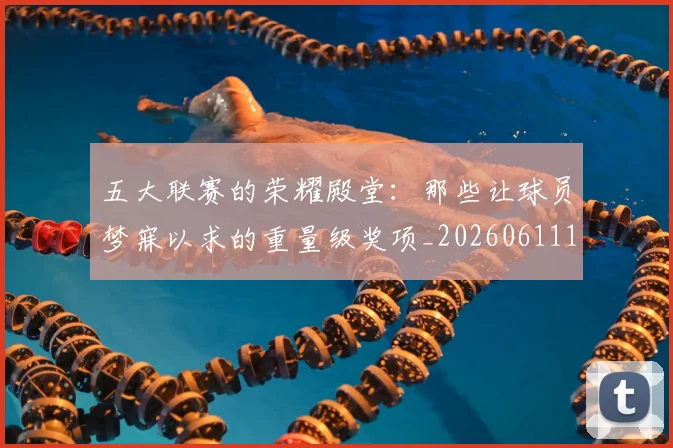 五大联赛的荣耀殿堂:那些让球员梦寐以求的重量级奖项_20260611141755